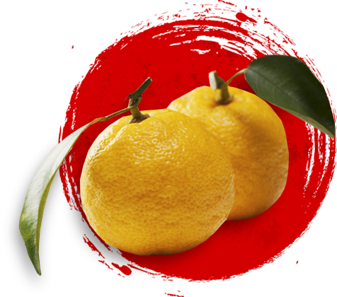 home-yuzu2